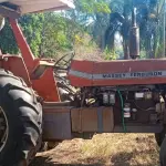 LOTE 018 - TRATOR mf 295