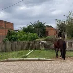 LOTE 034 - Um terreno constituído do lote número dezesseis (16), da quadra número vinte e cinco (25)