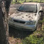 LOTE 006 - ASTRA