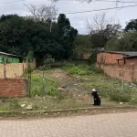 LOTE 117 - Um terreno constituído do lote número onze (11), da quadra número vinte e sete (27)