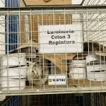 LOTE 007 - Bens diversos