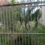LOTE 000 - Um terreno situado em São Leopoldo, área 384,00m², nº 180 da rua Emílio Dexheimer