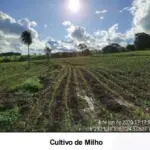 LOTE 001 - UMA FAZENDA EM GOIAS COM 43,2048 HECTARES EM SÃO LUIS DE MONTES BELOS