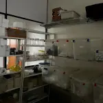 LOTE 000 - FARMACIA DE MANIPULAÇÃO COMPLETA