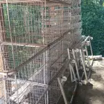 LOTE 000 - Maquinas de costura e gaiolas