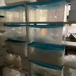LOTE 000 - FARMACIA DE MANIPULAÇÃO COMPLETA