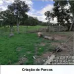 LOTE 001 - UMA FAZENDA EM GOIAS COM 43,2048 HECTARES EM SÃO LUIS DE MONTES BELOS