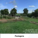 LOTE 001 - UMA FAZENDA EM GOIAS COM 43,2048 HECTARES EM SÃO LUIS DE MONTES BELOS