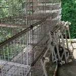 LOTE 000 - Maquinas de costura e gaiolas