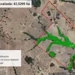 LOTE 001 - UMA FAZENDA EM GOIAS COM 43,2048 HECTARES EM SÃO LUIS DE MONTES BELOS
