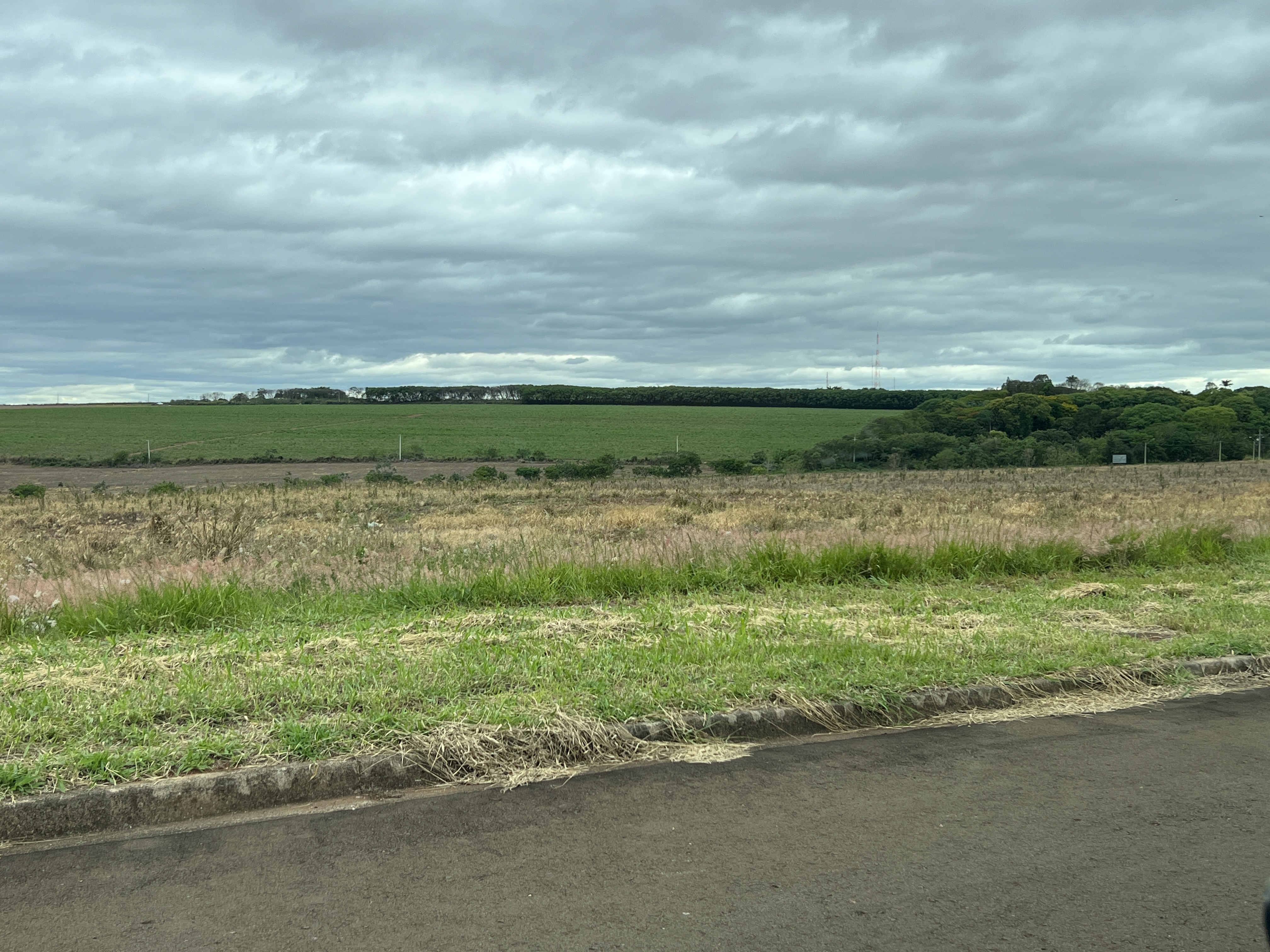 LEILÃO GRANDE IMÓVEL 204.412M2 FRENTE PARA ESTR. SP-308 EM PIRACICABA/SP