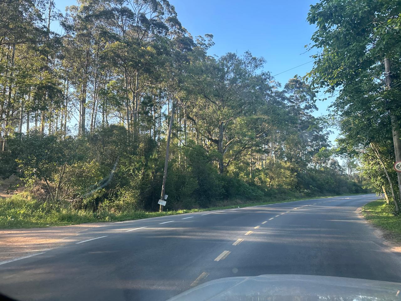 LEILAO DE GRANDES ÁREAS COM APROX. 215.000M² NA ZONA SUL DE PORTO ALEGRE/RS – FRENTE AV. OSCAR PEREIRA