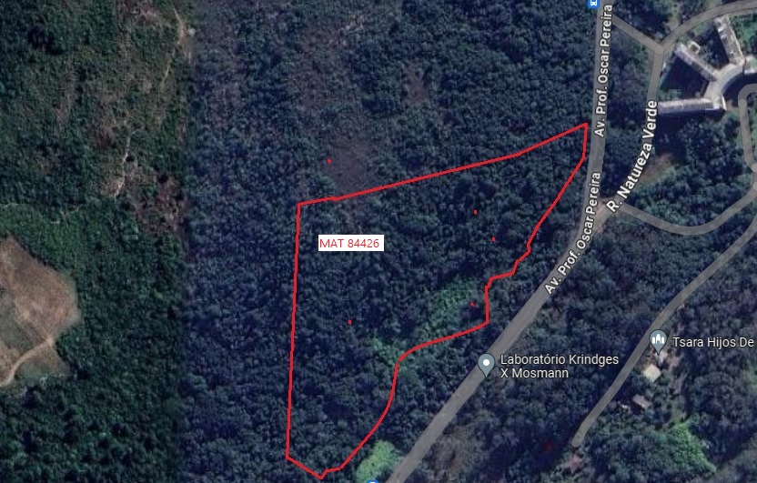 LEILÃO GRANDE ÁREA COM APROX. 56.000M² NA ZONA SUL DE PORTO ALEGRE/RS – FRENTE AV. OSCAR PEREIRA