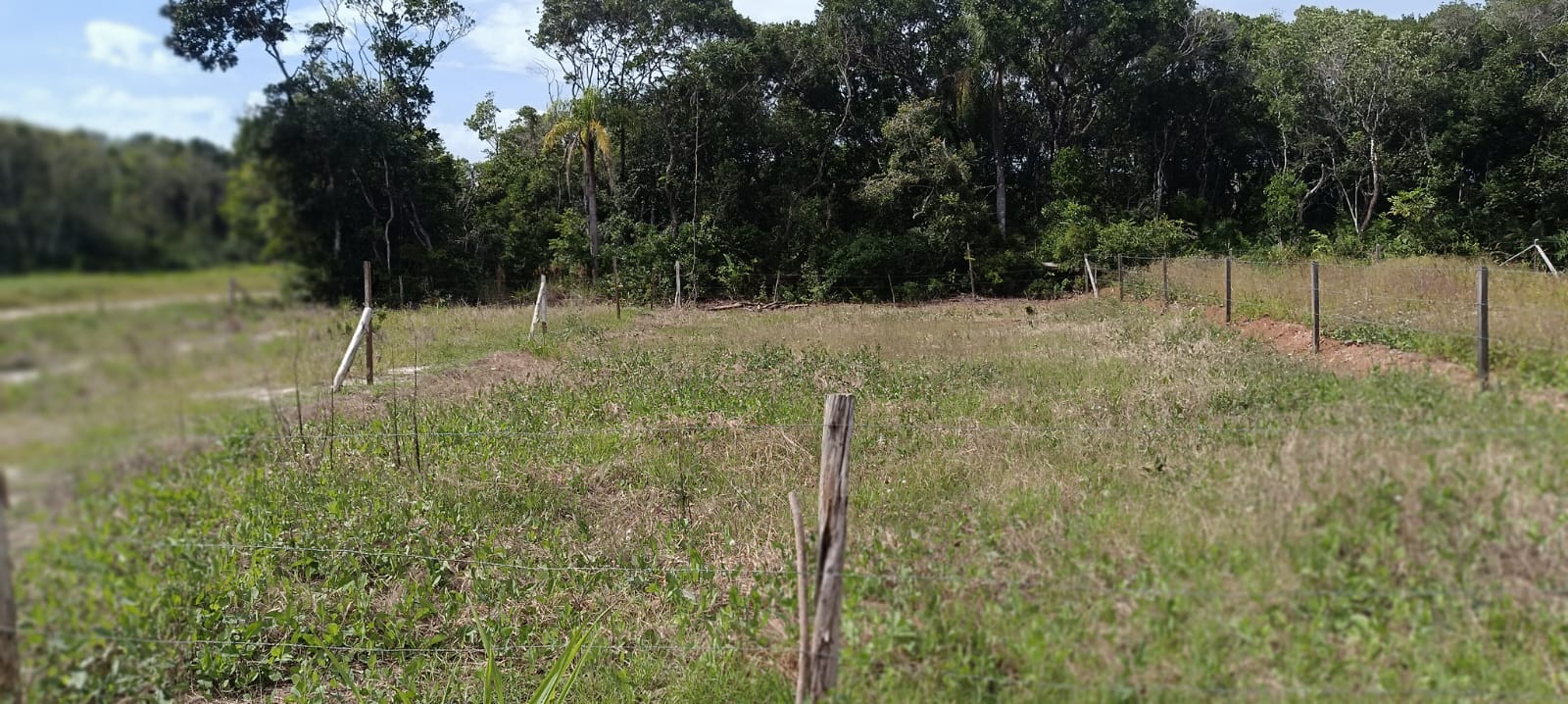 LEILÃO DE LOTES DE TERRENOS EM SÃO FRANCISCO DO SUL, SANTA CATARINA